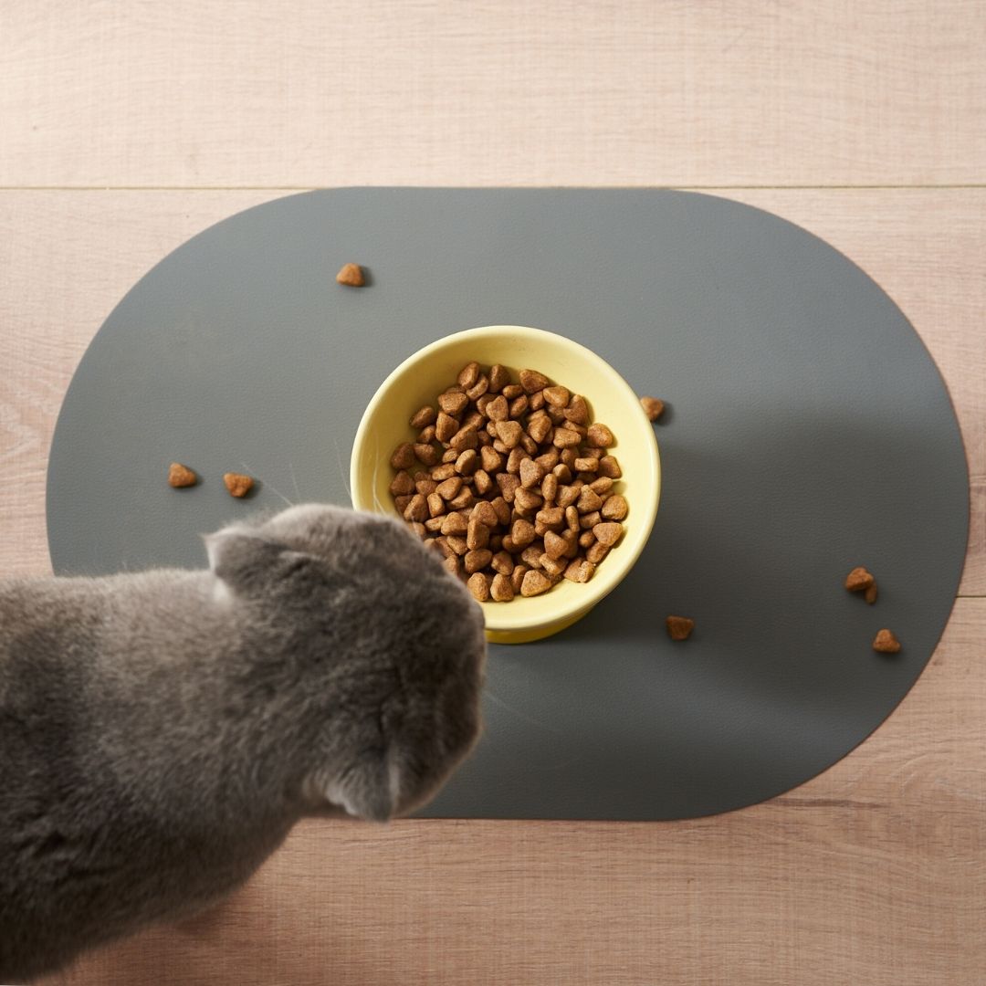 pet mat